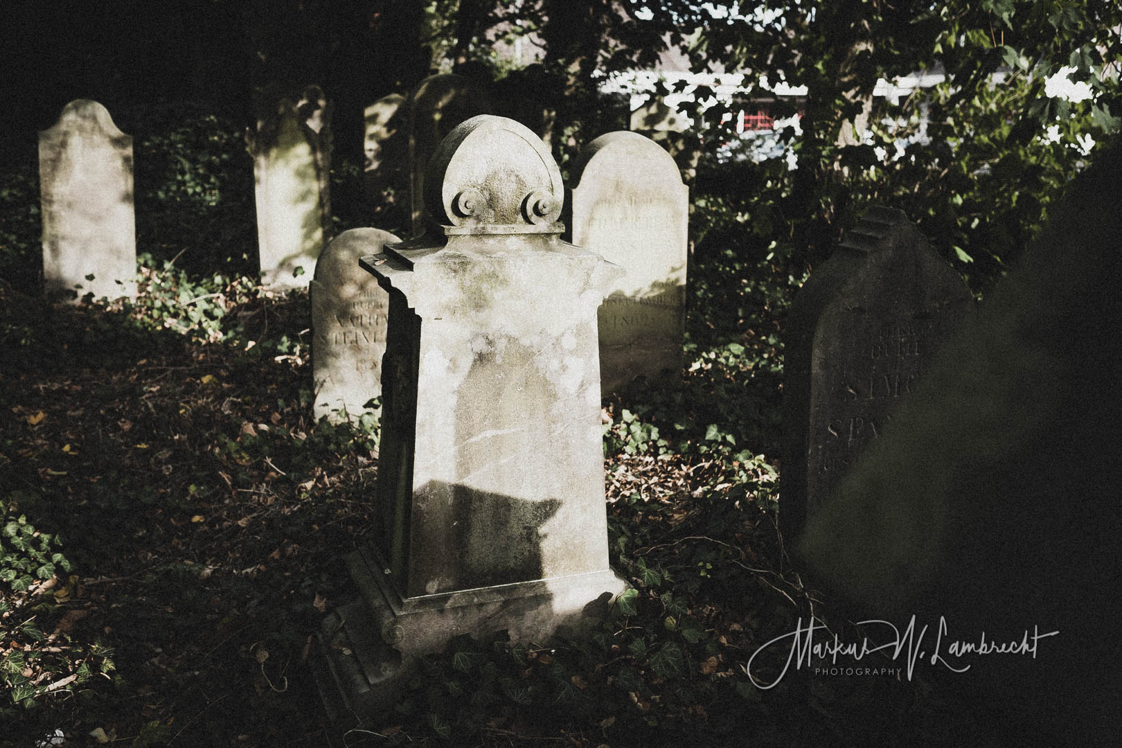 Steinheim (Westfalen), Jüdischer Friedhof